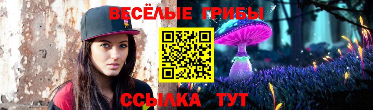 Псилоцибиновые грибы Cubensis  как найти закладки  Сорочинск  Галлюциногенные грибы GOLDEN TEACHER  Вход с VPN 